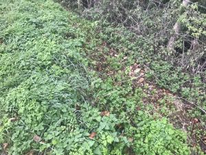 Friday 9th November 2018