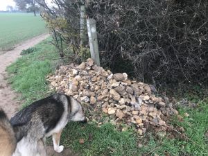 Friday 9th November 2018