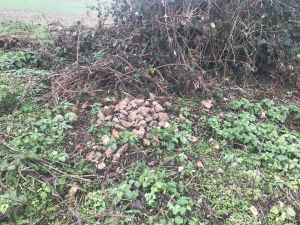 Friday 9th November 2018