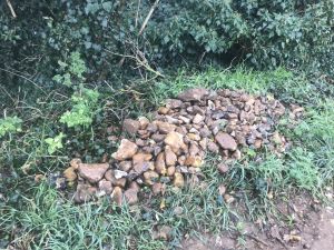 Friday 9th November 2018