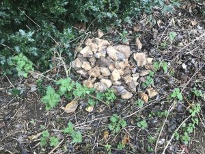 Friday 9th November 2018