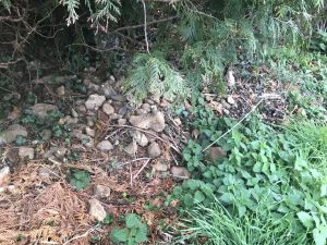 Friday 9th November 2018