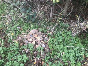 Friday 9th November 2018