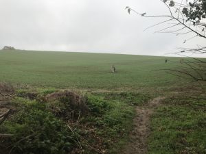 Friday 9th November 2018