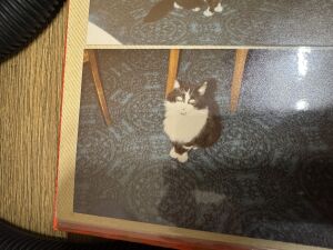 Monday 17th November 2025