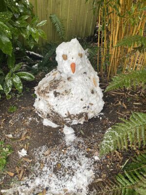 Saturday 24th January 2026