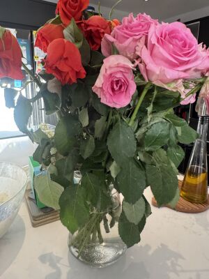 Saturday 11th April 2026