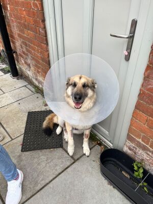 Thursday 23rd July 2026